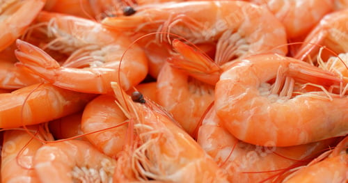 Preview: Cooked Fresh shrimp