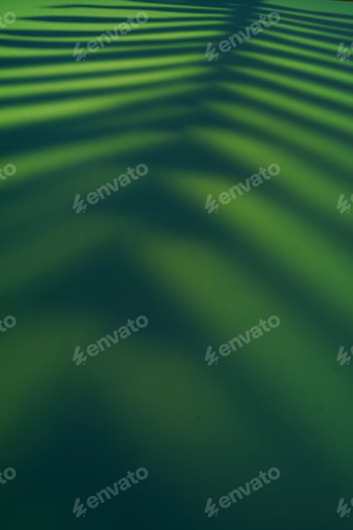 Visualização: Lindas folhas de samambaia, sombra, fundo colorido em luz artificial