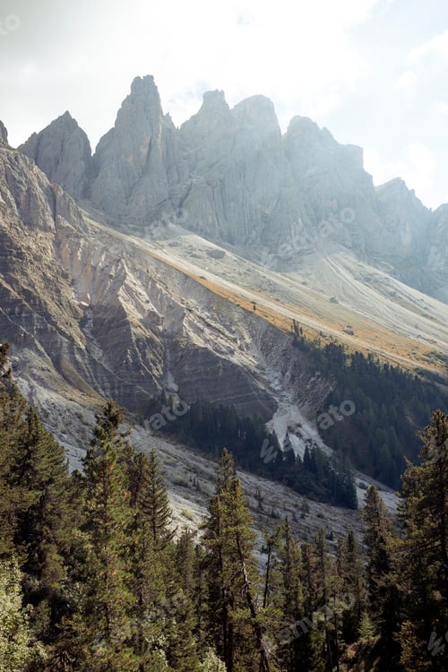 Preview: puez odle nature park