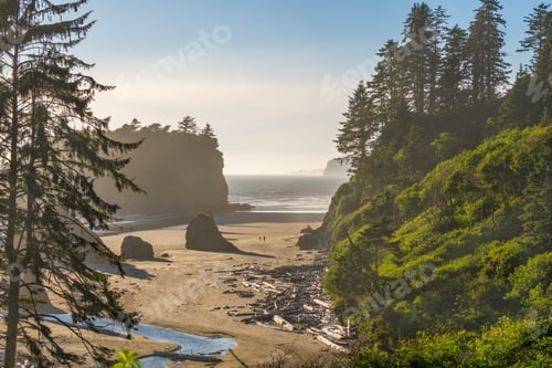 Preview: Ruby Beach, Olympic National Park, Washington, USA