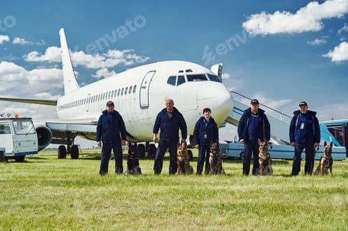 Preview: Security officers with dogs standing at airfield