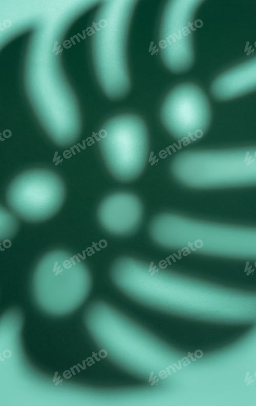 Preview: Shadows from monstera leaves