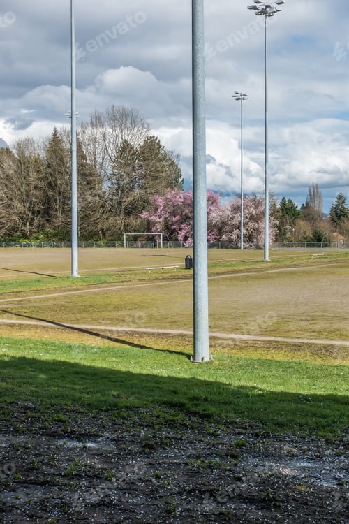 Preview: A View Of A Ball Field And Cherry Trees In Seatac, Washington.