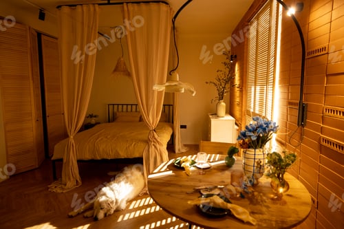 Preview: Sunny and cozy studio apartment