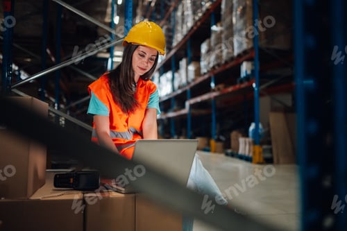 Preview: Female warehouse worker using laptop for inventory management