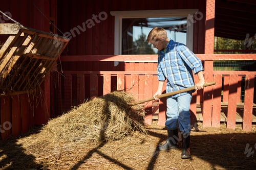 Preview: Caucasian Boy Shoveling Hay Inside Barn during Sunny Day on Farm