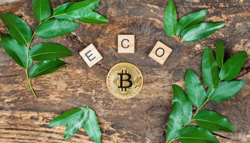 Preview: Bitcoin coin on a wooden background framed by green leaves and the inscription ECO