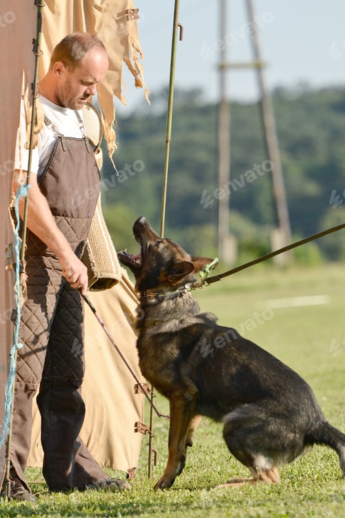 Preview: Police Dog Outdoor Training Process