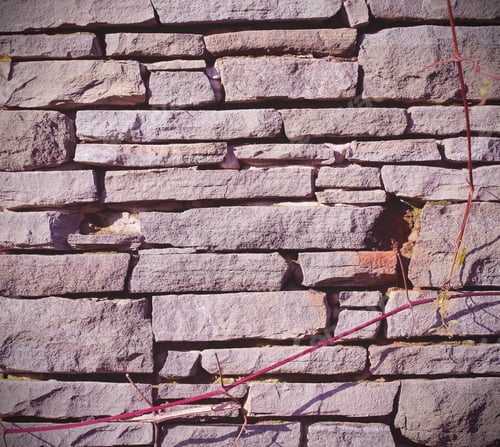Preview: Fence In The Castle Background Image