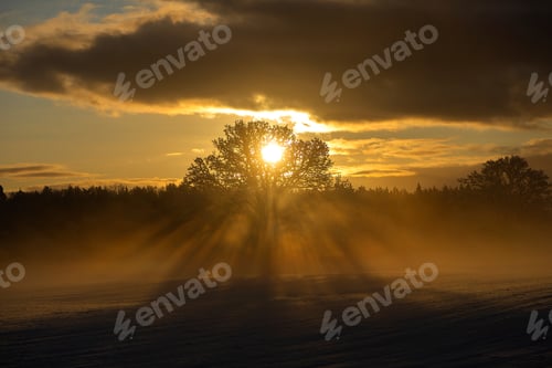 Preview: nature