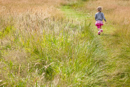 Preview: Walking through the high grass