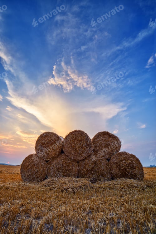 Preview: Straw