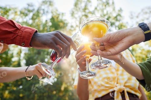 Preview: Clinking Glasses at Outdoor Celebration Gathering
