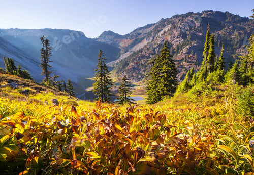 Preview: Mountains in Washington