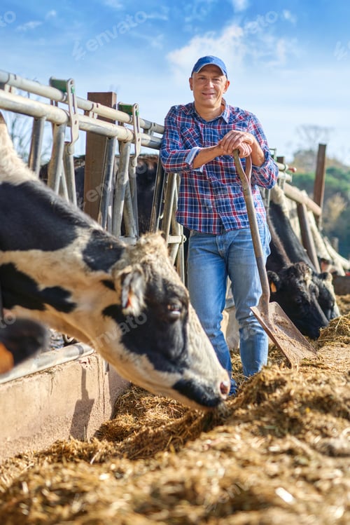 Preview: Portrait Of A Man On Livestock Ranches