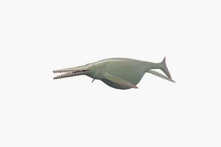 Preview: Shonisaurus: Giant Ichthyosaur Reptile