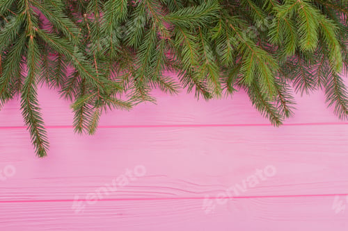 Preview: Green Pine Branches on a Pink Wooden Background