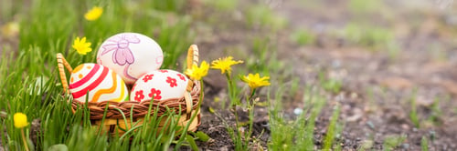 Preview: Easter Eggs in Basket on Grass Wide Banner