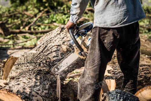Preview: Dramatic style a logger sawing the wood by electric saw.
