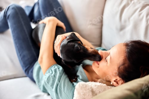 Preview: A smiling woman hugging her dachshund dog, lying together on the couch.