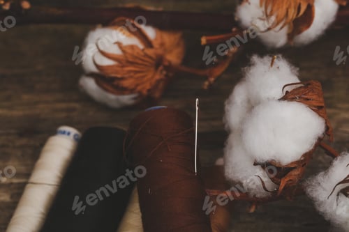 Preview: Cotton flower