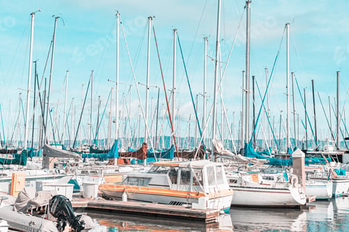 Preview: A large number of boats are docked in a marina