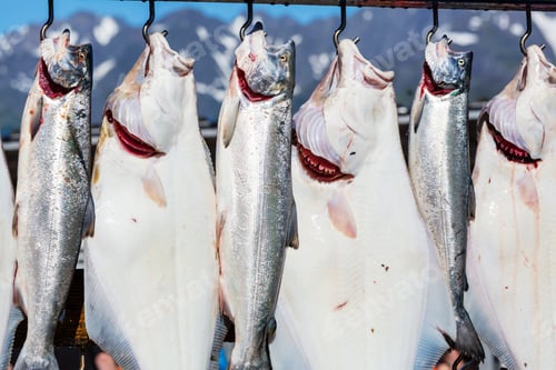Preview: Fishing in Alaska