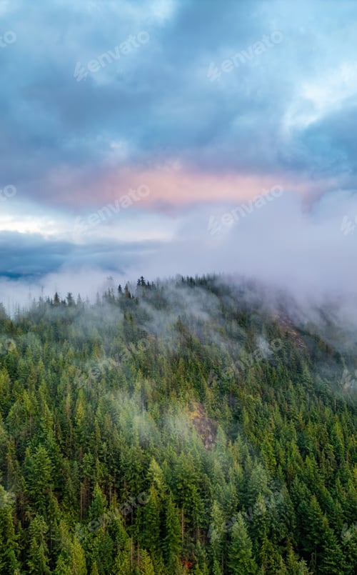 Preview: Misty Morning in a Lush Forested Mountain Landscape in BC, Canada with Dramatic Clouds