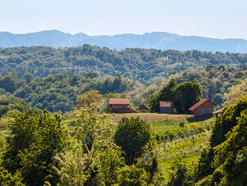 Preview: Beautiful green landscape, vineyards and houses at Klenice, Croatia, Hrvatsko zagorje, agricultural