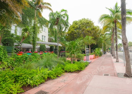 Preview: Miami summer view in the city