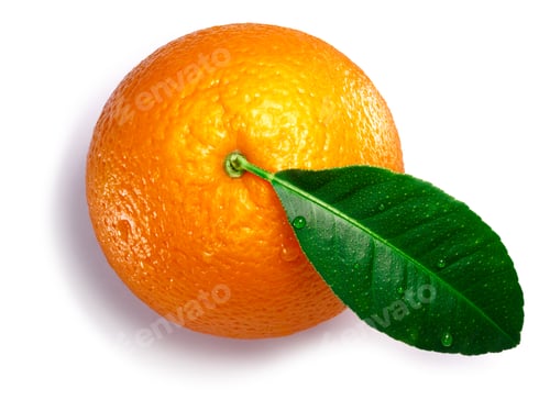 Preview: Orange with leaf, paths, top view