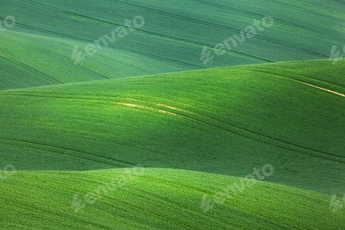 Preview: Minimalistic landscape with green fields, rolling hills at sunri