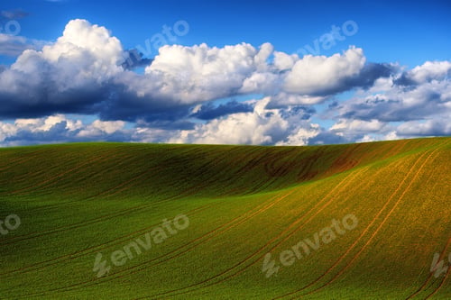 Preview: Detail of South Moravian field, Czech republic.