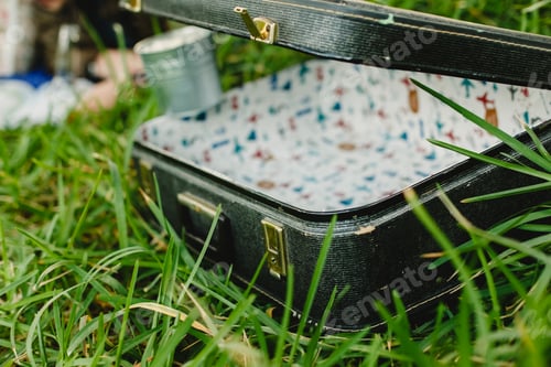 Preview: Old suitcase restored, open and empty on the grass.