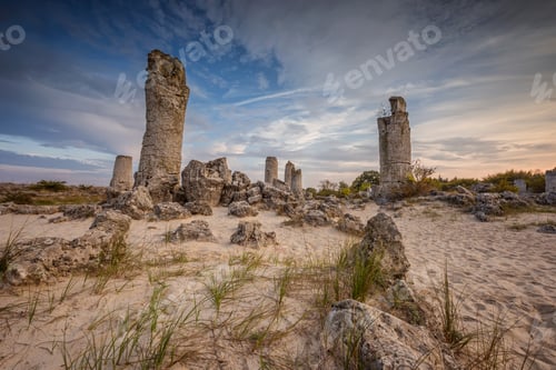 Preview: Stone forest