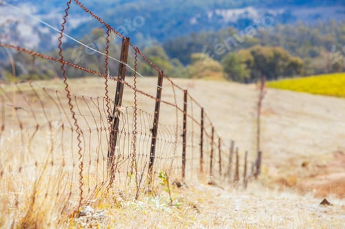 Preview: King Valley Landscape in Australia