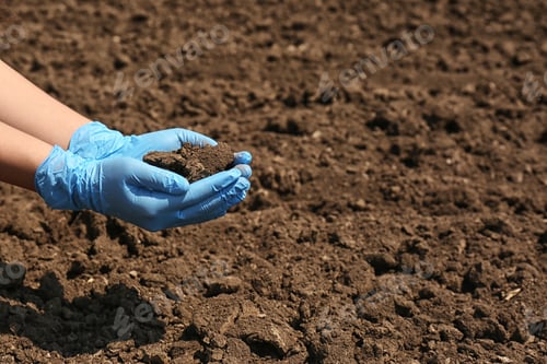 Preview: Woman holding pile of soil outdoors, closeup. Space for text
