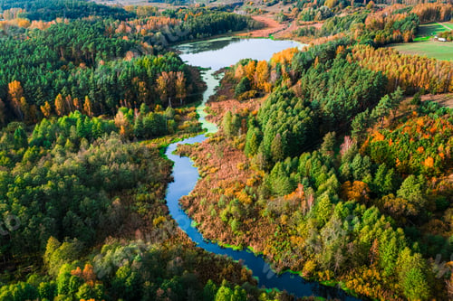 Preview: Stunning aerial view of small river and colorful forest