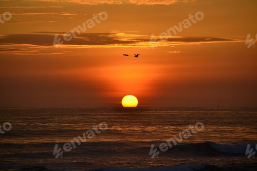 Preview: Silhouettes of birds flying over sunset at beach in Ecuador
