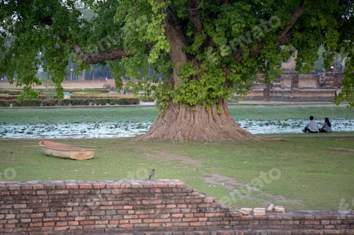 Vista previa: Back view of a asian couple watching sun on the park in Sukhothai, Thailand