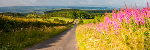 Preview: Country road in Northumberland National Park, near Hexham, England, United Kingdom, Europe