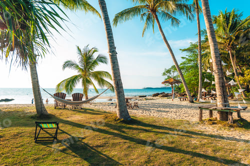 Preview: Palm trees on an island by the beach in the morning