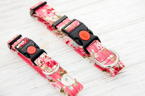 Preview: Dog Collar and Leash set. Pet Supplies and Walking Gear Collection