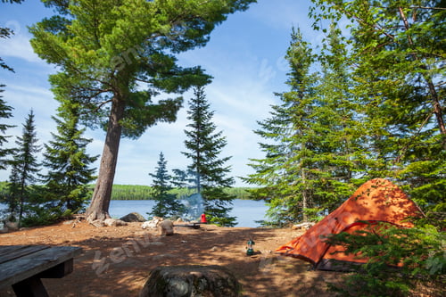 Preview: Campsite with orange tent on a northern Minnesota lake during summer