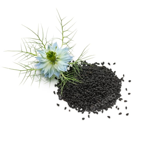 Preview: Heap of black nigella seeds and flower