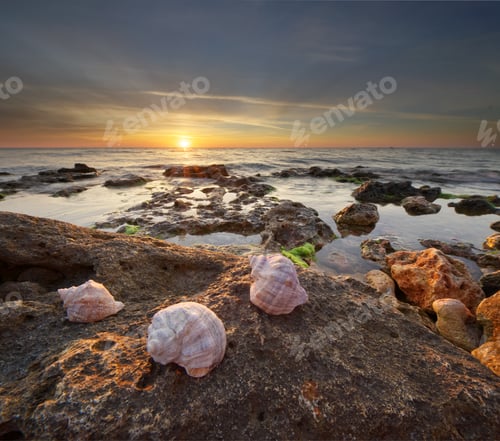 Preview: Conch and sunset on the sea