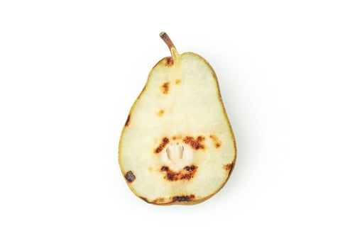 Preview: Tasty grilled pear isolated on white background.