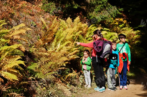 Preview: Mother with four kids in mountains forest near the fern. Family travel and hiking with childrens.