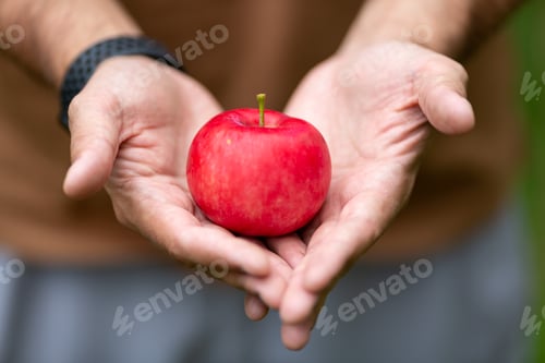 Preview: A Ripe Red Apple In Your Hands