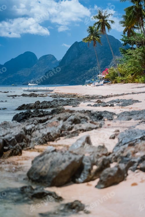 Preview: Boats in low tide under palm trees with amazing nature scenery rocky defocused foreground. Tropical